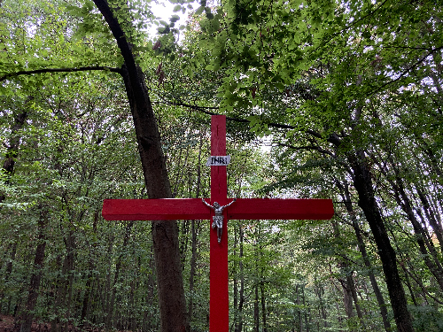 Červený kríž​