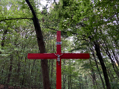 Červený kríž​